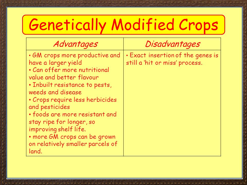 Genetically Modified Crops Advantages And Disadvantages